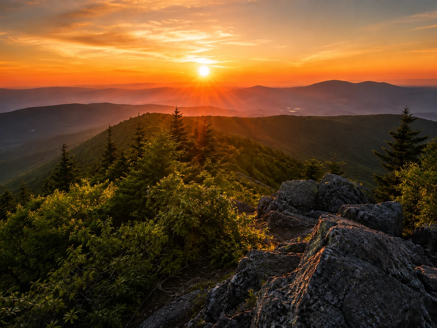 Same landscape photo with watermark and copyright stamp cleanly removed
