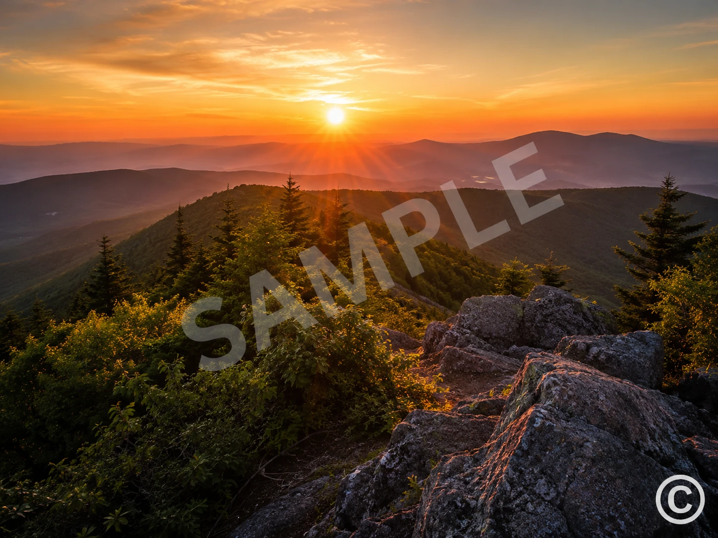 Nature landscape with a semi-transparent SAMPLE watermark and copyright stamp overlaid