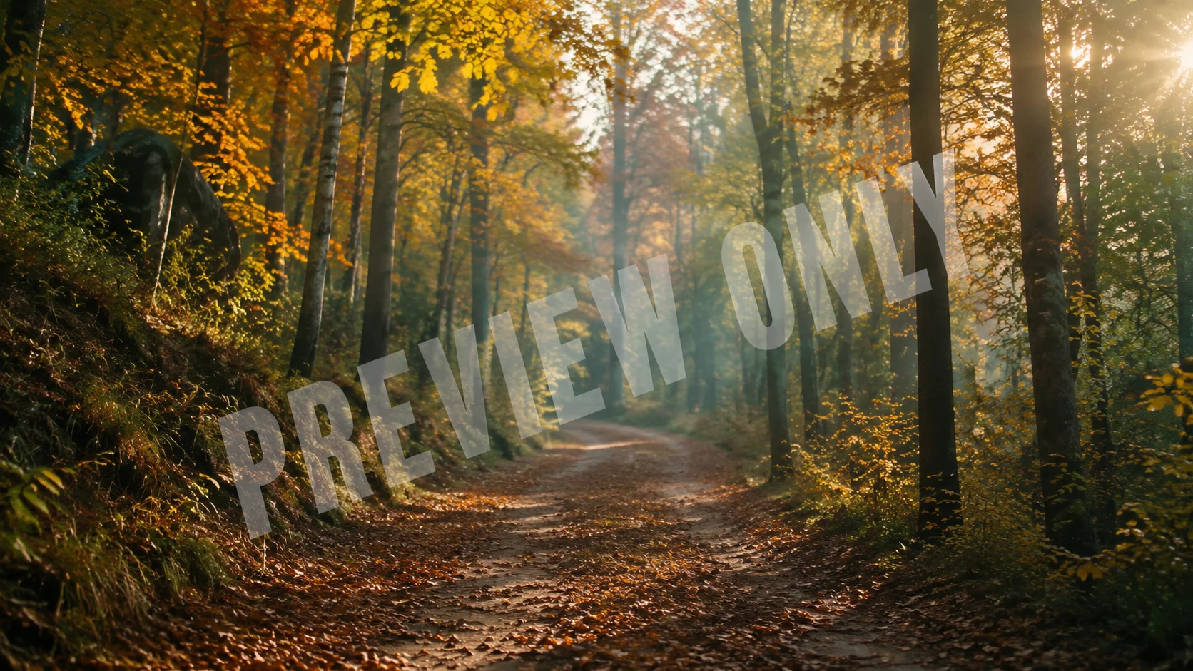 Cinematic nature documentary video frame with a large centered 'PREVIEW ONLY' watermark overlaid across the scene